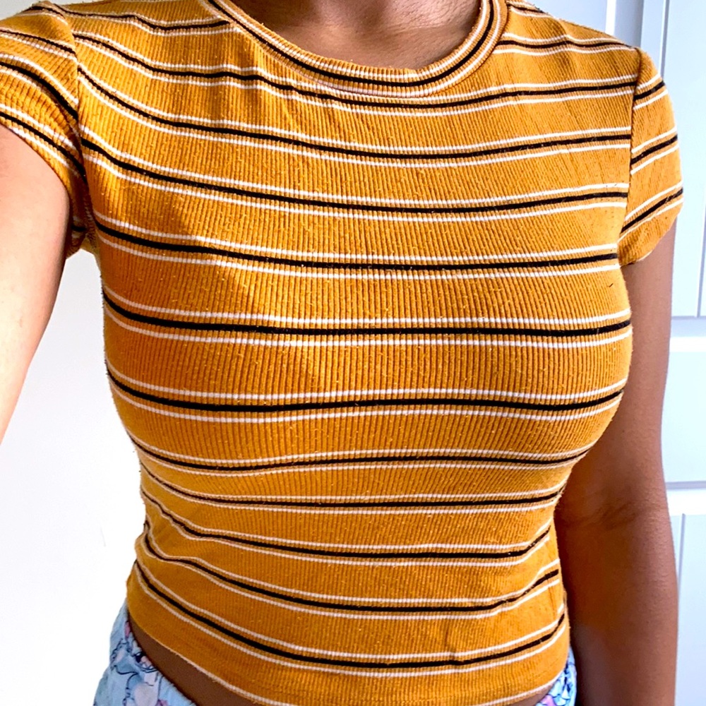 Mustard striped crop top